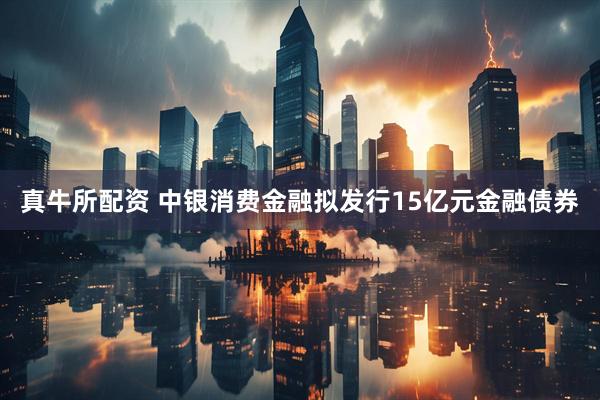 真牛所配资 中银消费金融拟发行15亿元金融债券