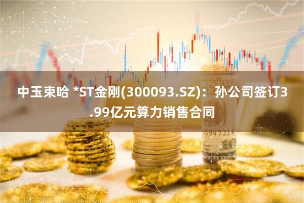 中玉束哈 *ST金刚(300093.SZ)：孙公司签订3.99亿元算力销售合同