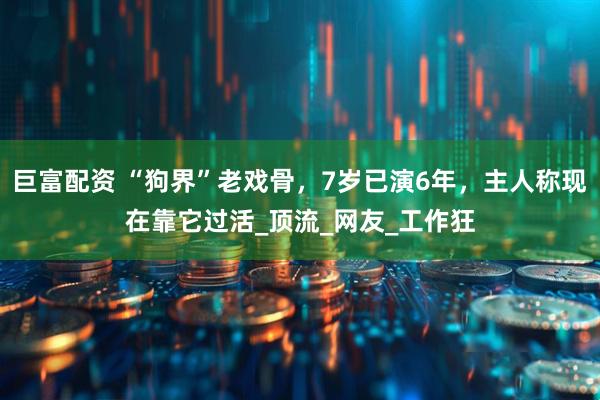 巨富配资 “狗界”老戏骨，7岁已演6年，主人称现在靠它过活_顶流_网友_工作狂