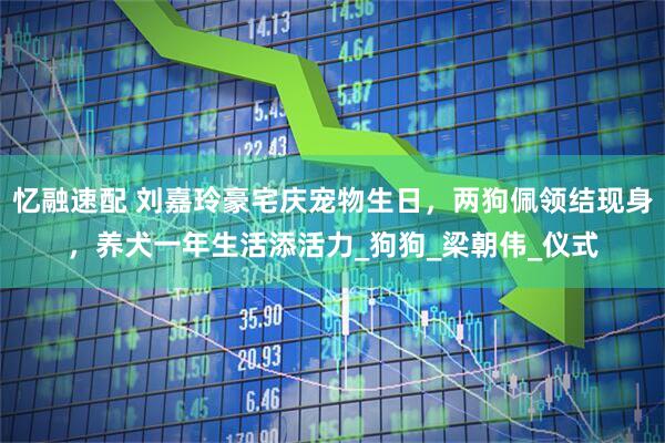 忆融速配 刘嘉玲豪宅庆宠物生日，两狗佩领结现身，养犬一年生活添活力_狗狗_梁朝伟_仪式