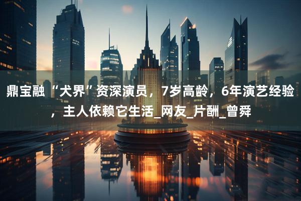 鼎宝融 “犬界”资深演员，7岁高龄，6年演艺经验，主人依赖它生活_网友_片酬_曾舜