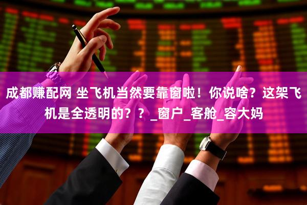 成都赚配网 坐飞机当然要靠窗啦！你说啥？这架飞机是全透明的？？_窗户_客舱_容大妈