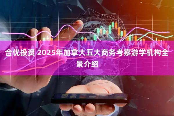 合优投资 2025年加拿大五大商务考察游学机构全景介绍