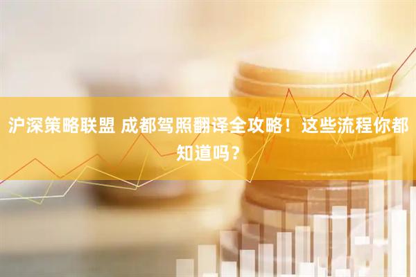 沪深策略联盟 成都驾照翻译全攻略！这些流程你都知道吗？