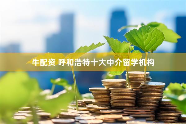 牛配资 呼和浩特十大中介留学机构