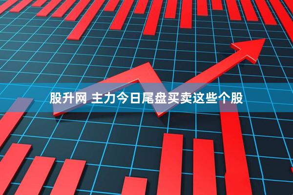 股升网 主力今日尾盘买卖这些个股